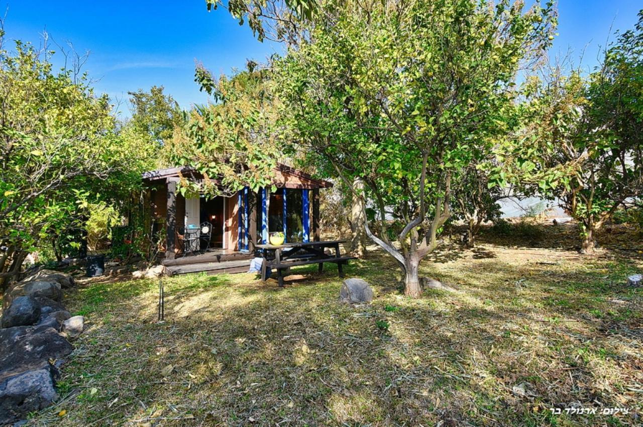 Indigolan Villa Ma'ale Gamla Exterior photo
